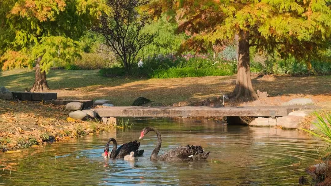 1735352002921267.jpg 微信图片_20241228101119.jpg