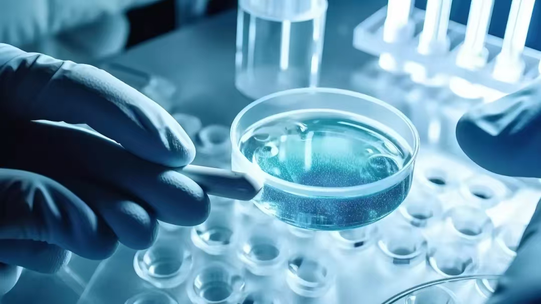 1735352030139444.jpg 微信图片_20241228101128.jpg